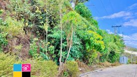 Land for sale in Labangon, Cebu