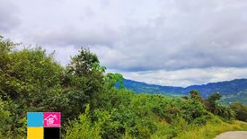 Land for sale in Bonbon, Cebu