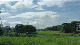 Land for sale in Eagle Ridge Executive, Panungyanan, Cavite