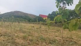 ขายที่ดิน ใน พลูตาหลวง, สัตหีบ