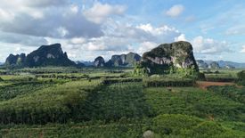 Land for sale in Nong Thale, Krabi