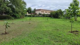 Land for sale in Nong Khwai, Chiang Mai