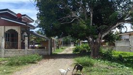 Land for sale in Cansomoroy, Cebu