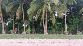 Land for sale in Talisay, Cebu