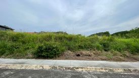 Land for sale in The Pines at South Peak, San Antonio, Laguna