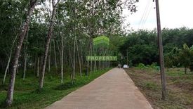 Land for sale in Thung Tam Sao, Songkhla