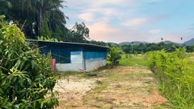 Land for sale in Thai Mueang, Phang Nga