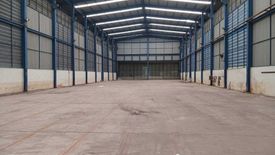 20 Bedroom Warehouse / Factory for rent in Khu Bang Luang, Pathum Thani