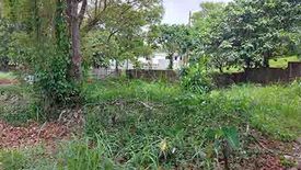 Land for sale in Tolentino West, Cavite