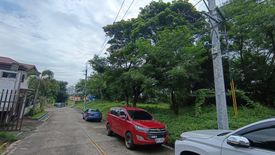 Land for sale in New Alabang Village, Metro Manila