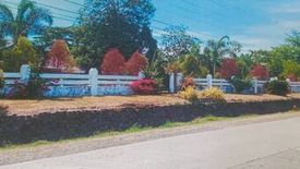 Land for sale in Nagbinlod, Negros Oriental