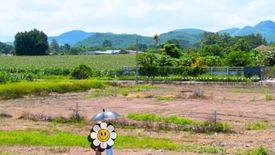 Land for sale in Nong Nam Daeng, Nakhon Ratchasima