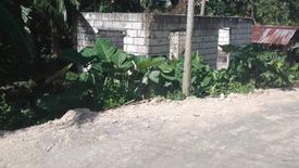 Land for sale in Busogon, Cebu