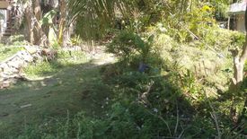 Land for sale in Busogon, Cebu