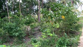 Land for sale in Bogo, Siquijor