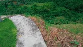 Land for sale in Lagtang, Cebu