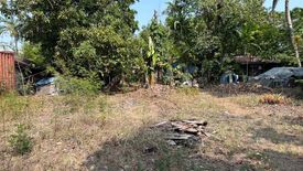 Land for sale in New Alabang Village, Metro Manila