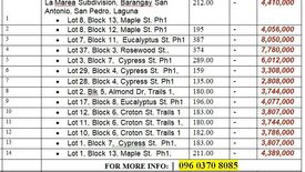 Land for sale in San Antonio, Laguna