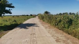 Land for sale in Las Piñas, Nueva Ecija