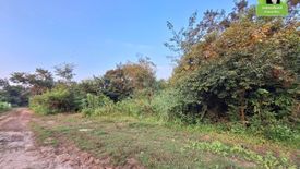 Land for sale in Rai Noi, Ubon Ratchathani