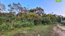 Land for sale in Rai Noi, Ubon Ratchathani