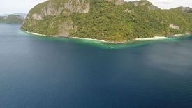 Land for sale in Villa Libertad, Palawan