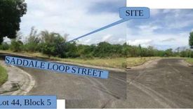 Land for sale in Santiago, Batangas