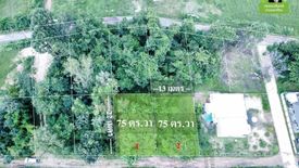 Land for sale in That, Ubon Ratchathani