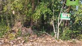 Land for sale in That, Ubon Ratchathani