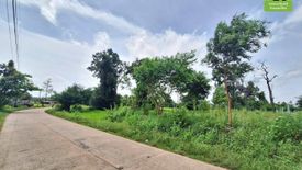 Land for sale in Hua Ruea, Ubon Ratchathani