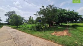 Land for sale in Hua Ruea, Ubon Ratchathani