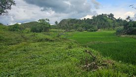 Land for sale in Buenavista, Bohol