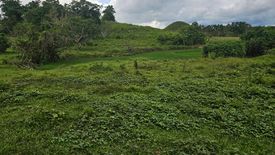 Land for sale in Buenavista, Bohol