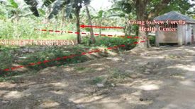 Land for sale in Poblacion, Davao del Norte