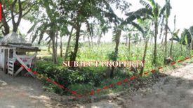 Land for sale in Poblacion, Davao del Norte