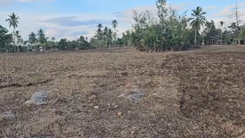 Land for sale in Ilaud, Bohol