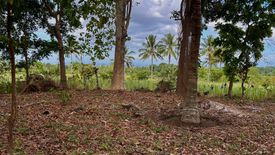 Land for sale in Granada, Negros Occidental