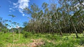 Land for sale in Khao Khram, Krabi