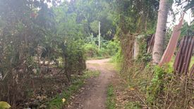 Land for sale in Bong-Ao, Negros Oriental