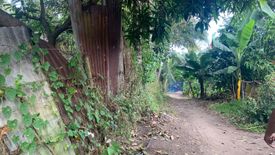 Land for sale in Bong-Ao, Negros Oriental