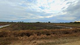 Land for sale in Barraca, Pangasinan