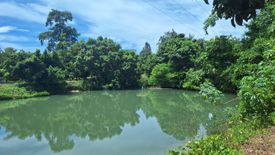 Land for sale in Klaeng, Rayong