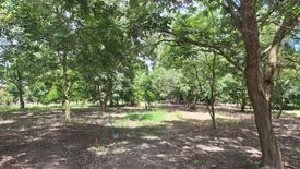 Land for sale in Klaeng, Rayong