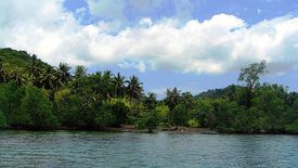 Land for sale in Santa Lourdes, Palawan