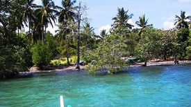 Land for sale in Santa Lourdes, Palawan