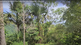 Land for sale in Sirao, Cebu