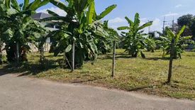 Land for sale in Chang Phueak, Chiang Mai