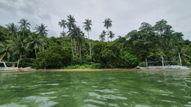 Land for sale in Villa Libertad, Palawan