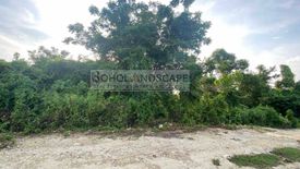 Land for sale in Danao, Bohol