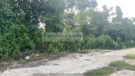 Land for sale in Danao, Bohol